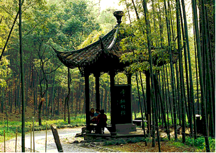 开云手机在线登录